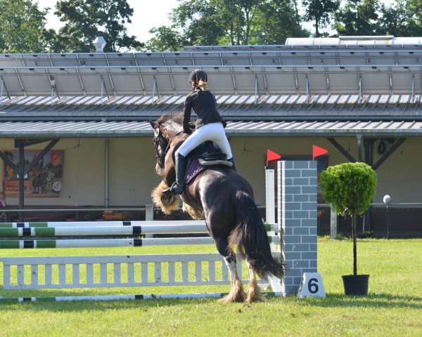 jumper Sweet little Tinkerbell (Irish Sport Horse, 2010)