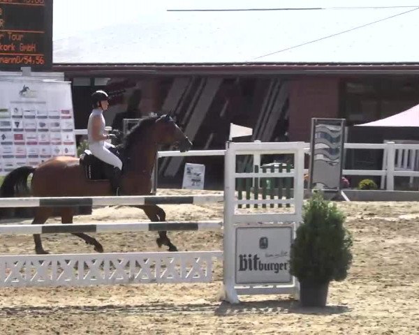 16. Wallau Classics vom 22.08. - 25.08.2013