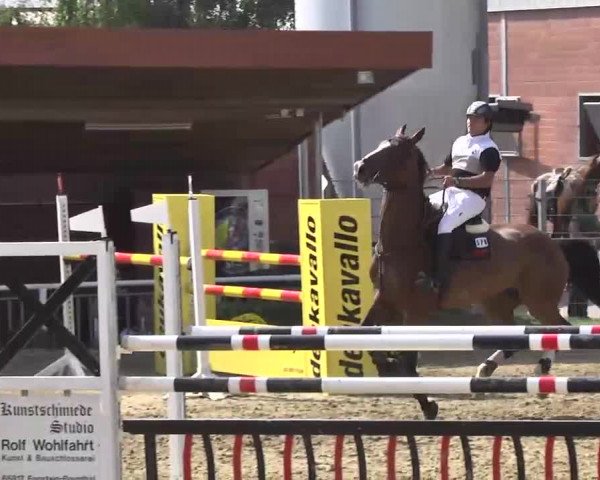 16. Wallau Classics vom 22.08. - 25.08.2013