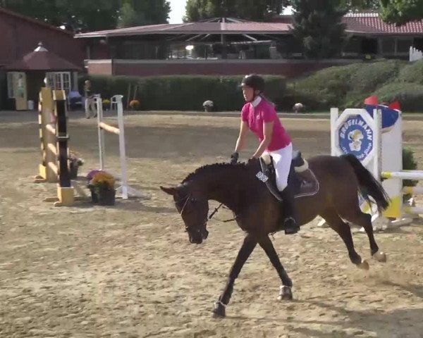 16. Wallau Classics vom 22.08. - 25.08.2013