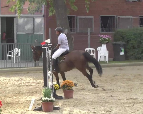16. Wallau Classics vom 22.08. - 25.08.2013