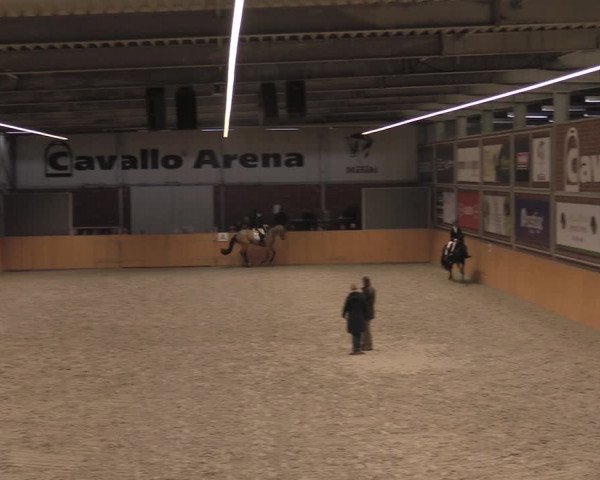 Reitturnier Güstrow/Cavallo Arena 2021