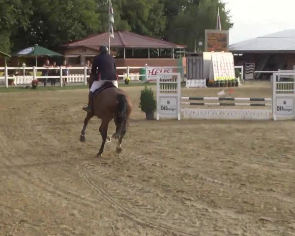 16. Wallau Classics vom 22.08. - 25.08.2013