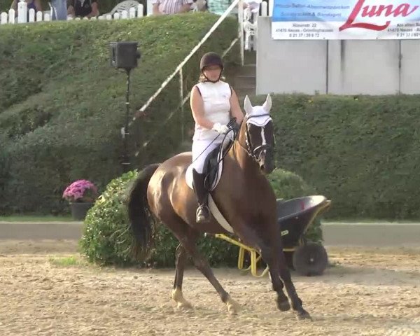 16. Wallau Classics vom 22.08. - 25.08.2013