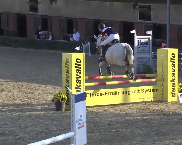 Reitturnier Hofheim-Wallau 22.08. - 25.08.2013