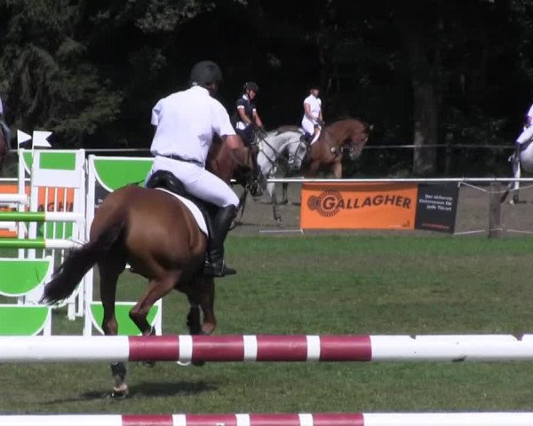 Reitsporttage an der Führser Mühle 2013