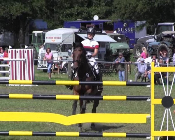 Reitsporttage an der Führser Mühle 2013