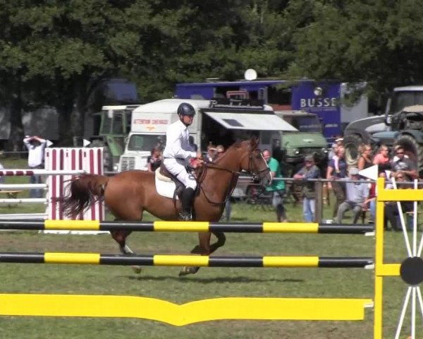 Reitturnier Nienburg 2013