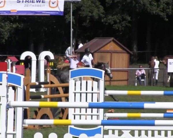 Reitsporttage an der Führser Mühle 2013