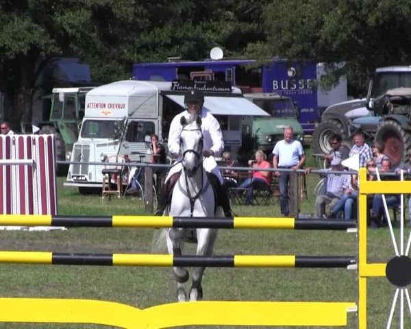 Reitturnier Nienburg 2013