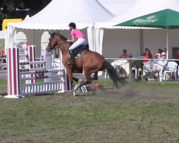 Reitsporttage an der Führser Mühle 2013