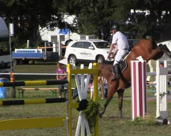 Reitsporttage an der Führser Mühle 2013