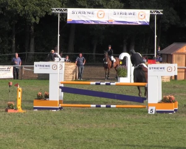 Reitsporttage an der Führser Mühle 2013