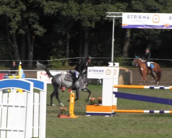 Reitsporttage an der Führser Mühle 2013