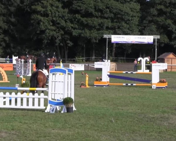 Reitturnier Nienburg 2013