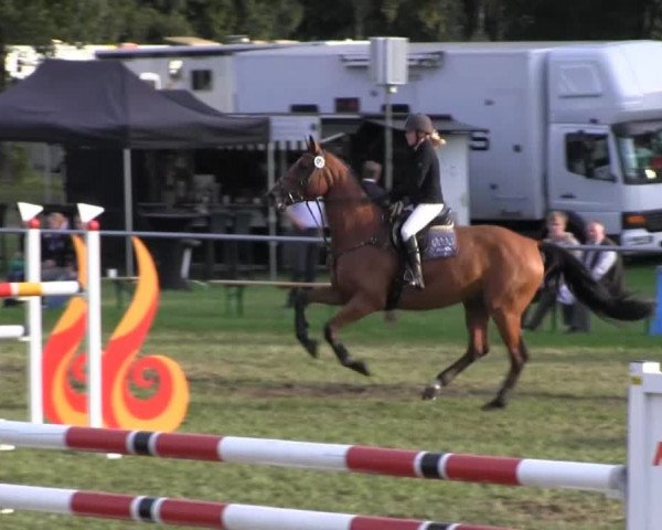 Reitsporttage an der Führser Mühle 2013