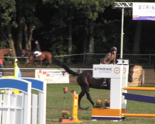 Reitsporttage an der Führser Mühle 2013