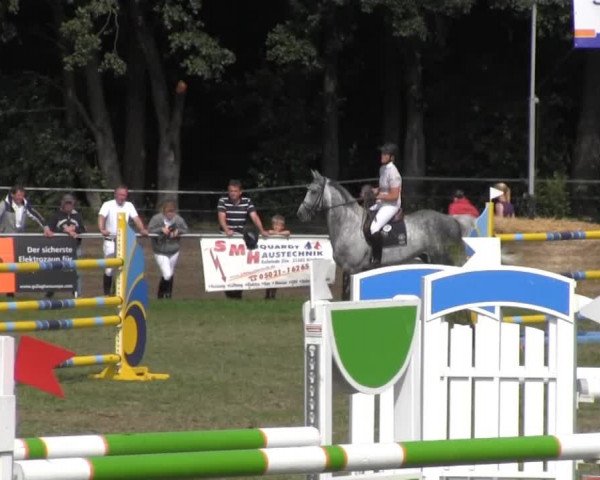 Reitturnier Nienburg 2013