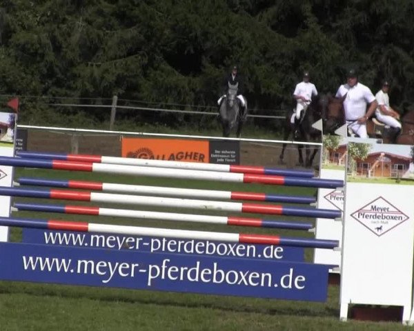 Reitsporttage an der Führser Mühle 2013
