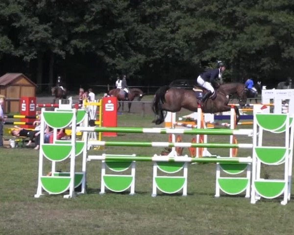 Reitsporttage an der Führser Mühle 2013