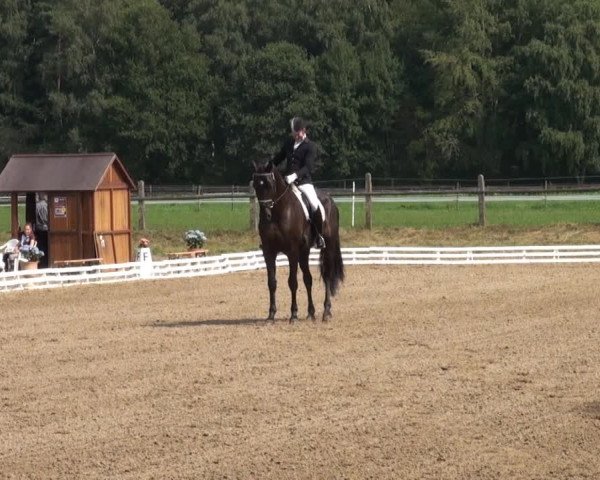 Reitsporttage an der Führser Mühle 2013