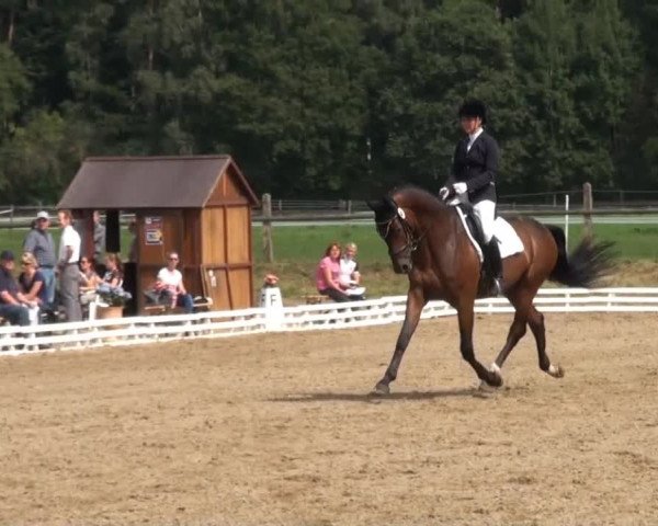 Reitsporttage an der Führser Mühle 2013