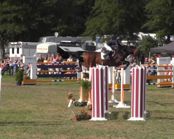 Reitsporttage an der Führser Mühle 2013