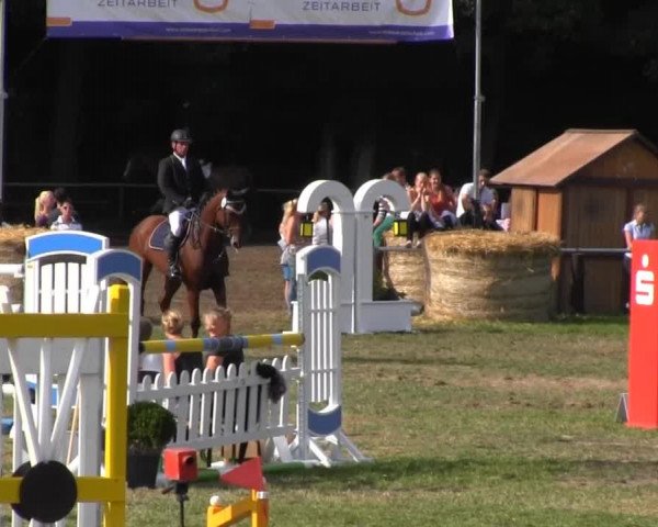 Reitturnier Nienburg 2013