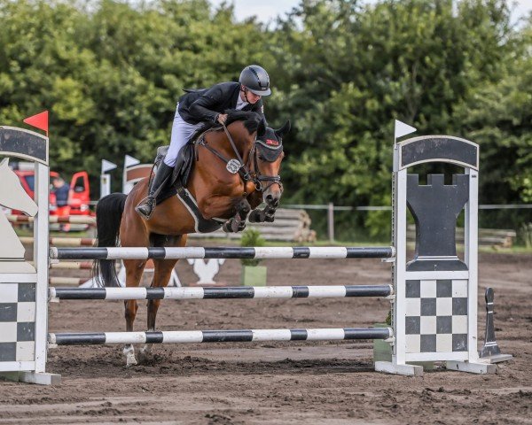 broodmare Melody (Holsteiner, 2019, from UNITED WAY)