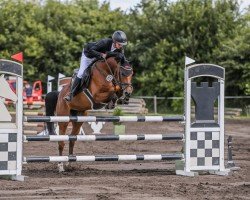 broodmare Melody (Holsteiner, 2019, from United Way)