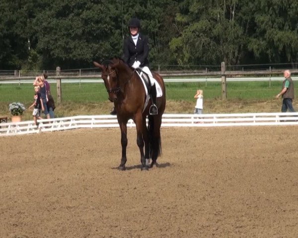 Reitsporttage an der Führser Mühle 2013