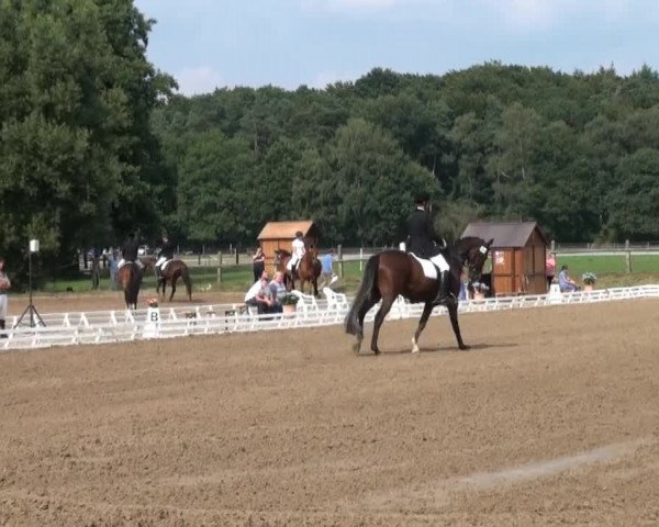 Reitsporttage an der Führser Mühle 2013