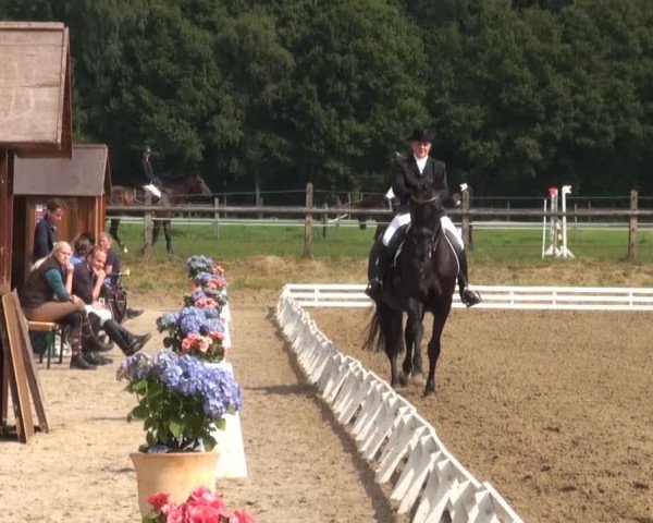 Reitsporttage an der Führser Mühle 2013