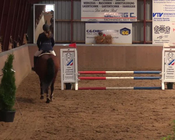 Reitturnier Behrendorf 2021