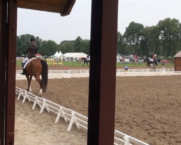 Reitsporttage an der Führser Mühle 2013