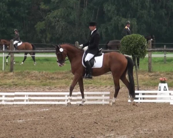 Reitsporttage an der Führser Mühle 2013