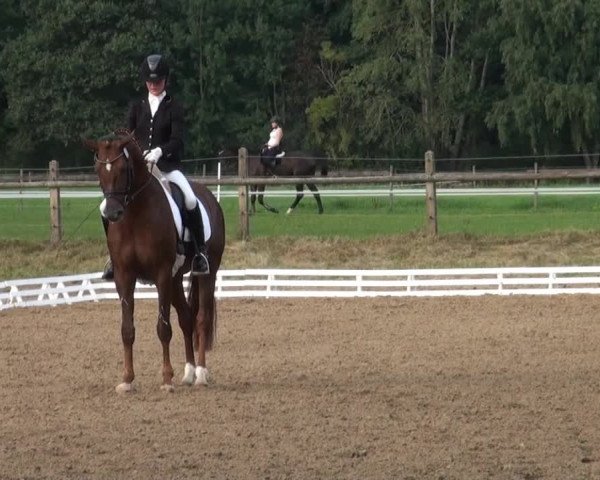 Reitsporttage an der Führser Mühle 2013
