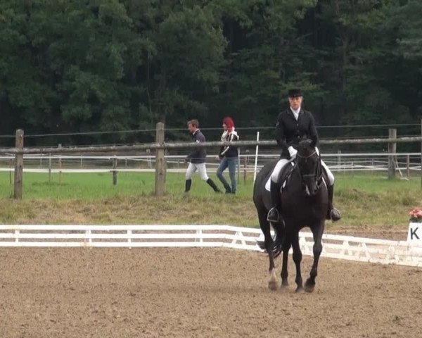 Reitsporttage an der Führser Mühle 2013