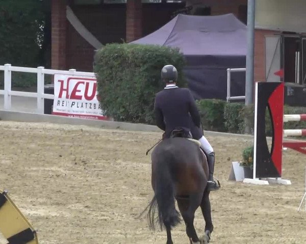 16. Wallau Classics vom 22.08. - 25.08.2013