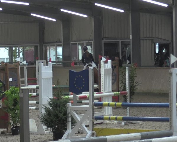 Reitturnier Ahaus 2021