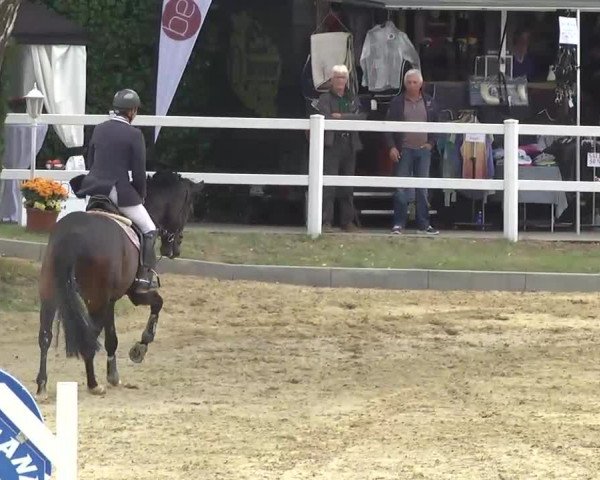 16. Wallau Classics vom 22.08. - 25.08.2013