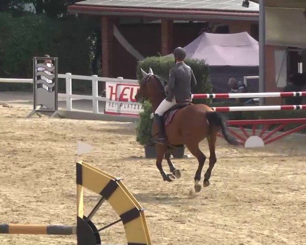 16. Wallau Classics vom 22.08. - 25.08.2013