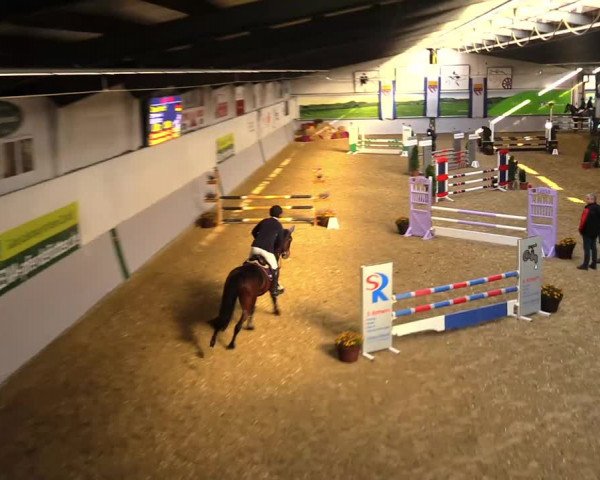 Reitturnier Legden 2021