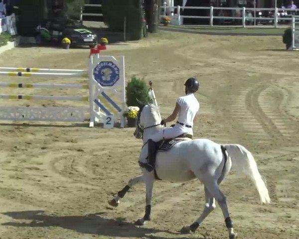 16. Wallau Classics vom 22.08. - 25.08.2013