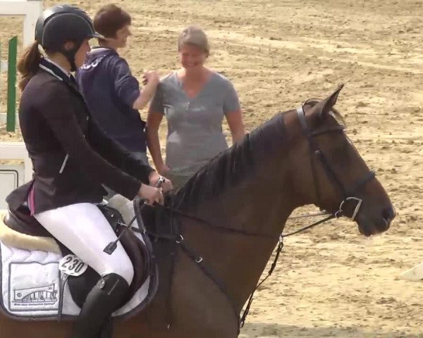 16. Wallau Classics vom 22.08. - 25.08.2013