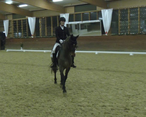Reitturnier Coesfeld/Lette 2024