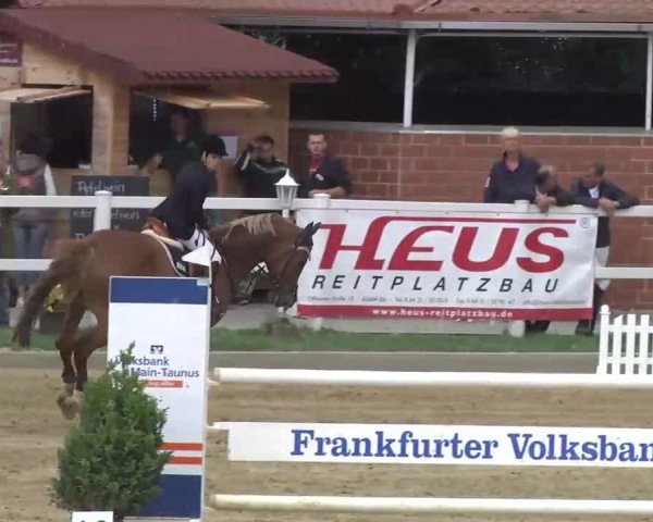 16. Wallau Classics vom 22.08. - 25.08.2013