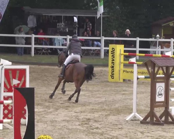 16. Wallau Classics vom 22.08. - 25.08.2013