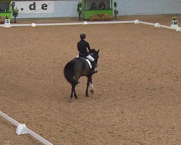 Reitturnier Kreuth/Opf. 2021