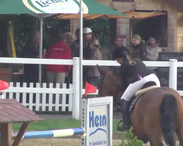 Reitturnier Hofheim-Wallau 22.08. - 25.08.2013